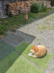 ハイカーに人気...