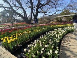 ランチのあとチ...