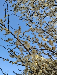 入場無料券があ...