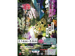 第1企画展　「洋ラン展　栃木県誕生150年～用の美と蘭の美～」