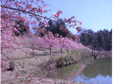 円道寺池