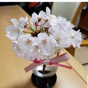 ヤギさん