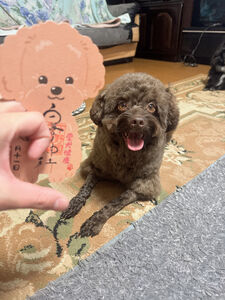 めた