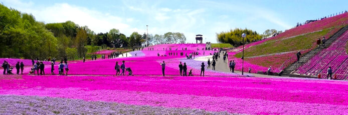 タイトル画像