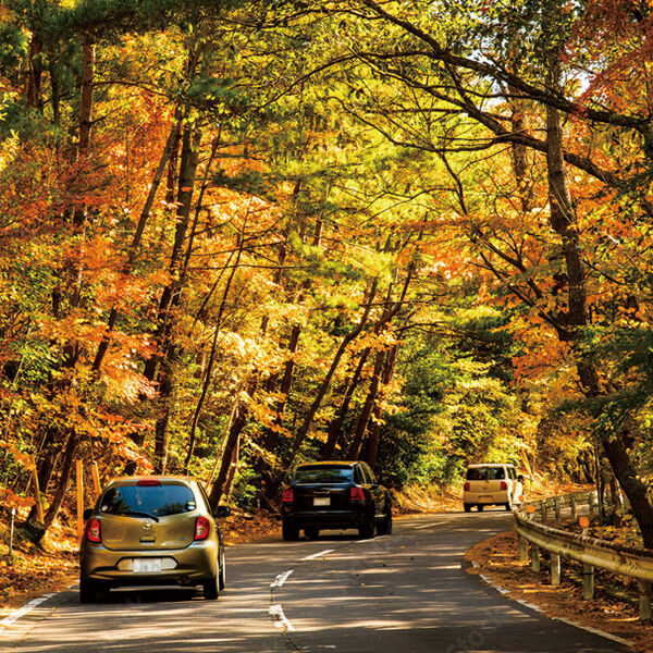 【日光ドライブ】紅葉と絶景を楽しむ 癒やしのカフェめぐり33選