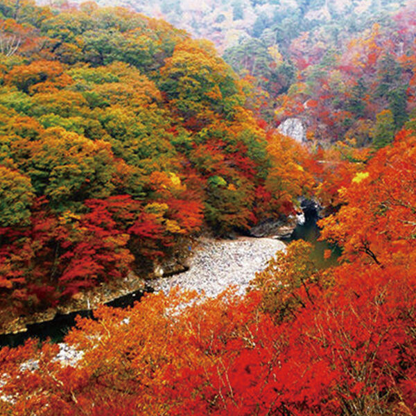 【那須塩原ドライブ】紅葉と絶景の国道400号カフェめぐり17選