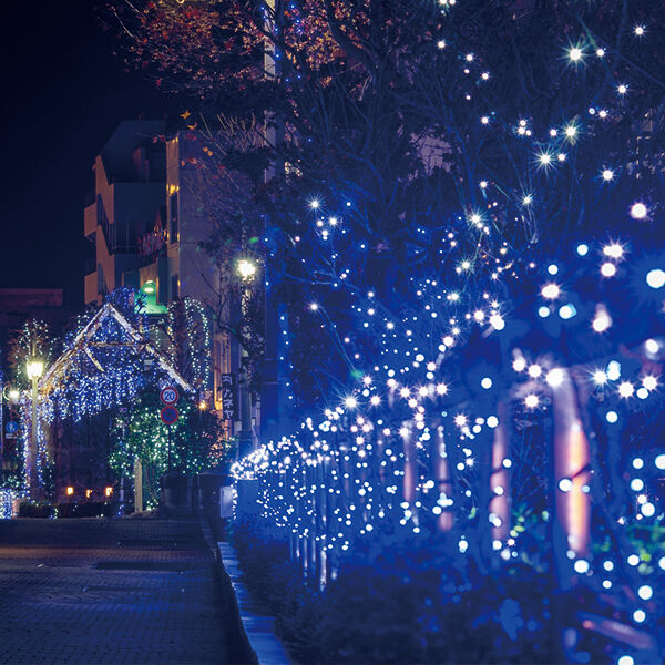 【宇都宮】釜川から宮みらい★光とグルメを楽しむ夜デート15選