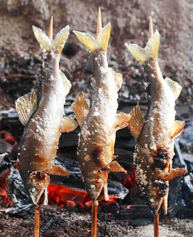 皮はパリッと身はふわっ 新鮮活魚の鮎の塩焼き 川魚 栃ナビ