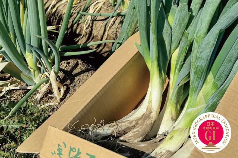 <b>【50名様】宇都宮産新里ねぎ(1kg)</b>