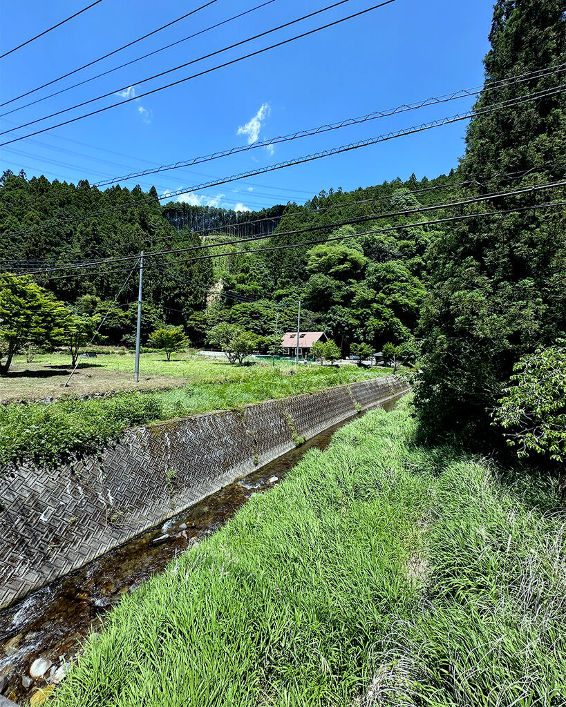 あのログハウスだ！！！