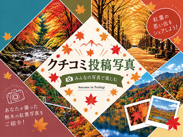 紅葉クチコミ★チェック＆大募集