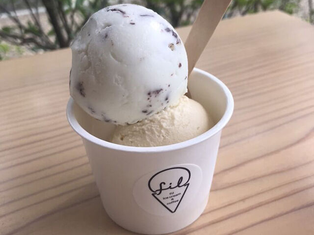 【那須塩原市】イートイン限定メニューもアリ★季節のアイスクリーム(fil ice cream & coffee)