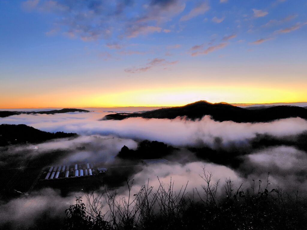 【茂木町】早起きのご褒美は、天空の雲海ショー（鎌倉山）