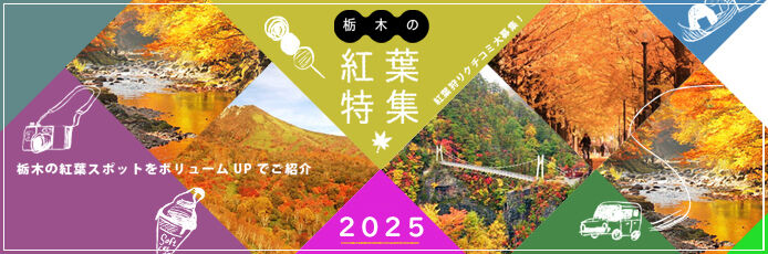 栃木の紅葉スポット特集2025