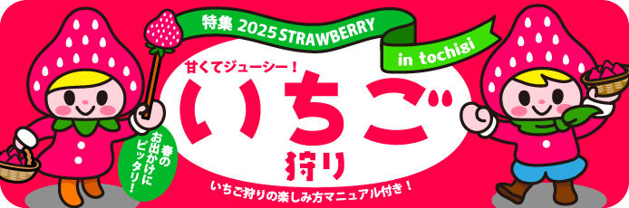 栃木のいちご狩り特集2025