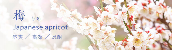 栃木県の梅のスポット 見所情報 栃木の花特集 栃ナビ