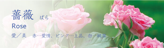 栃木県のバラのスポット 見所情報 栃木の花特集 栃ナビ