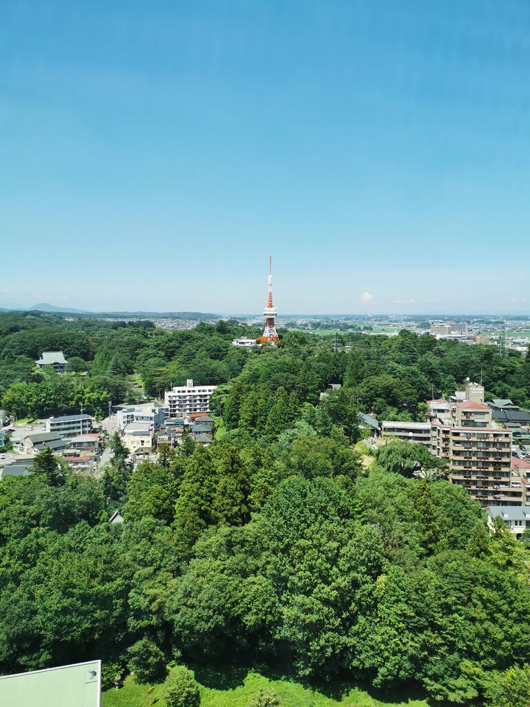 栃木県庁15階展望ロビー 宇都宮市のギャラリー 栃ナビ