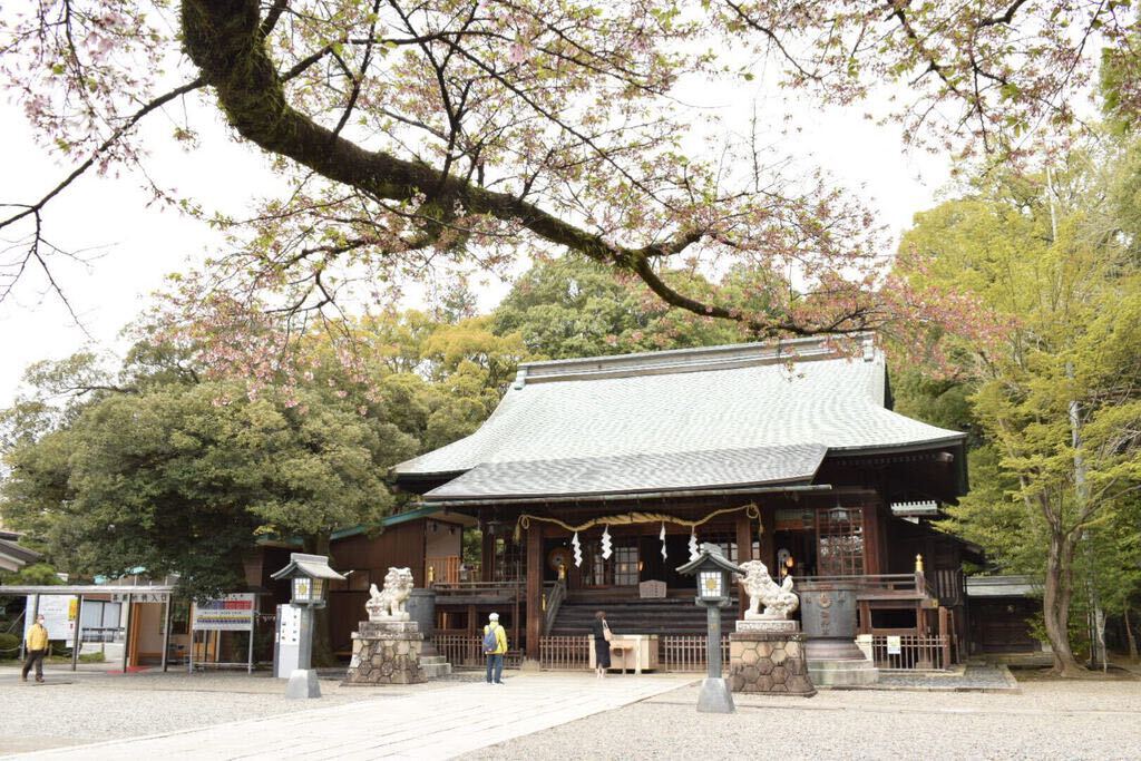 Michaさんから宇都宮二荒山神社への投稿クチコミ 栃ナビ