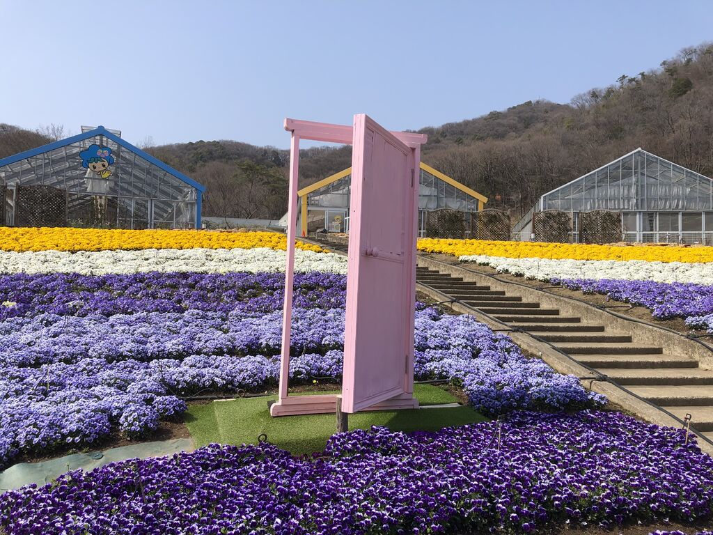 ゆうこ さんからとちぎ花センターへの投稿クチコミ 栃ナビ