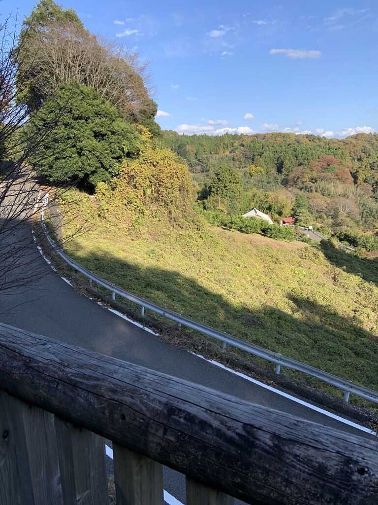 国見の棚田 国見峠展望台 那須烏山市の樹木 栃ナビ