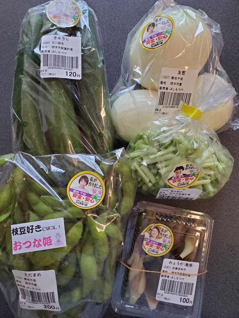 Jaしもつけ都賀 生出宿里の駅の写真 栃木市 野菜 直売所