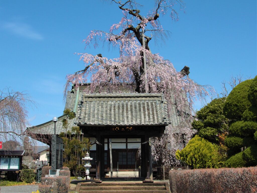 佐野市 栃木県のエリア情報 栃ナビ