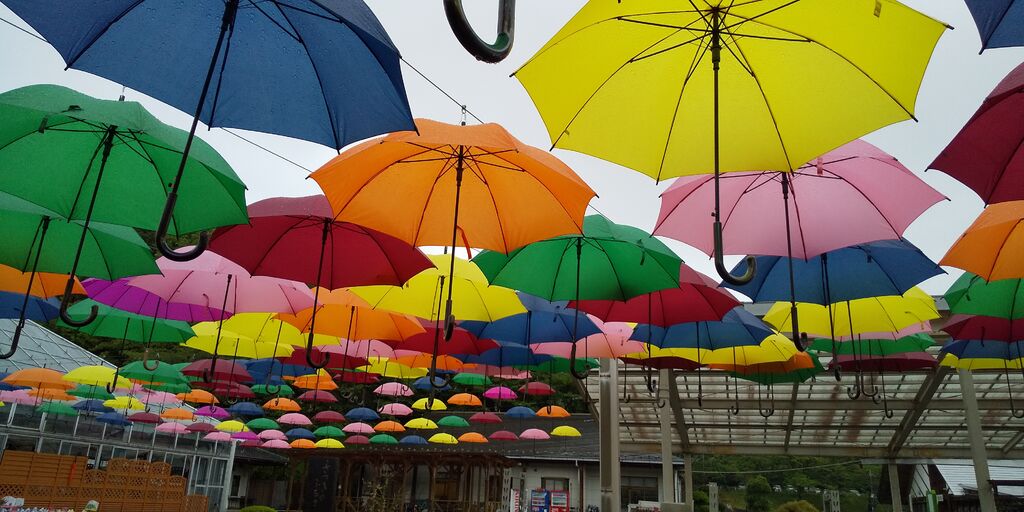 鹿沼市花木センターのクチコミ 口コミ 写真 鹿沼市 ガーデニング 造園 園芸