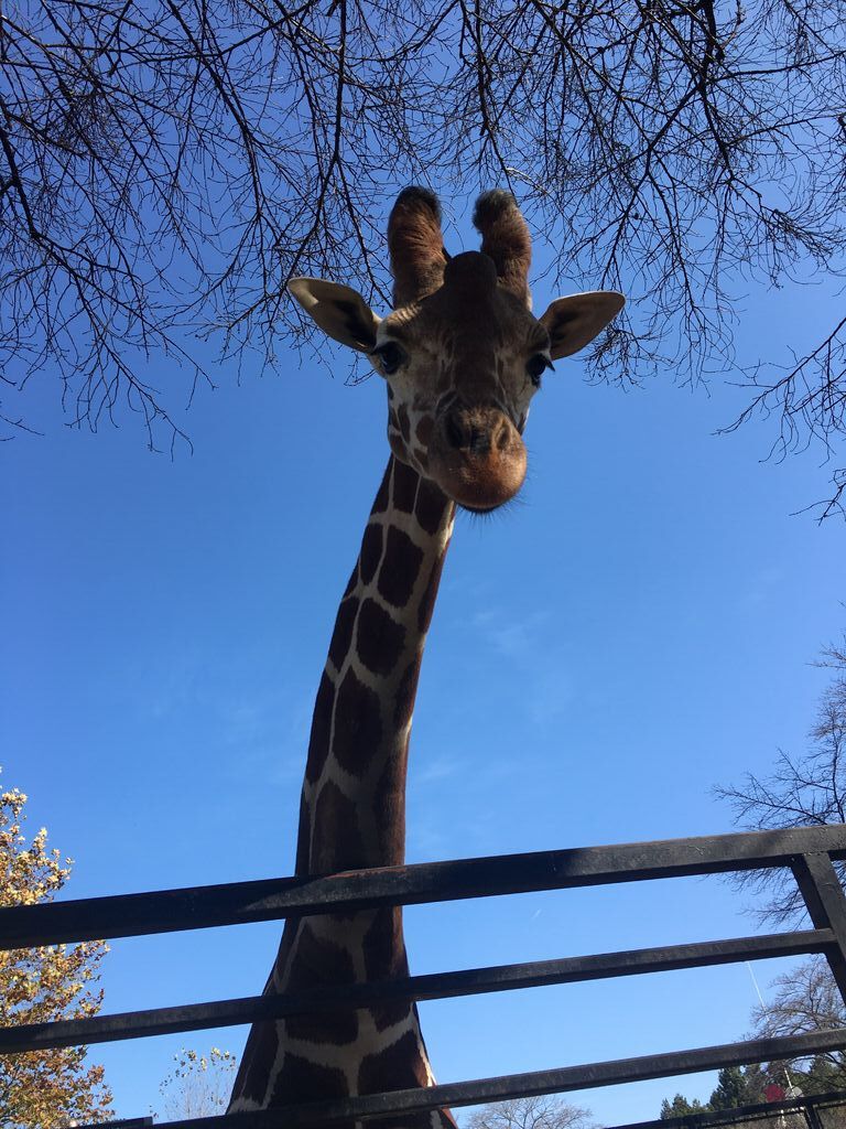 宇都宮動物園のクチコミ 口コミ 写真 宇都宮市 遊園地 動物園