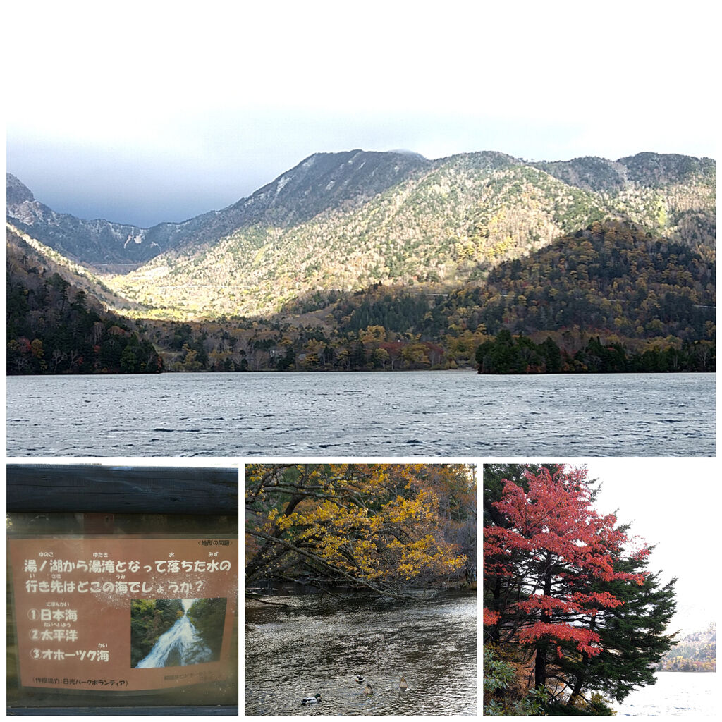 湯ノ湖 日光市の湖沼 栃ナビ