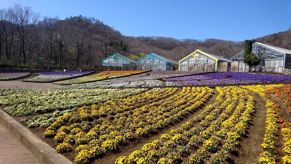 とちぎ花センターのクチコミ 口コミ 写真 栃木市 公園