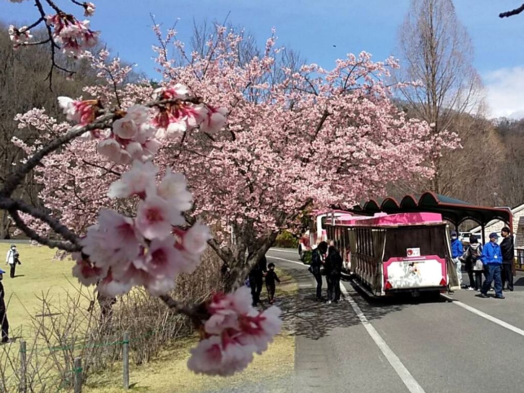 みかも山公園のクチコミ 口コミ 写真 栃木市 公園