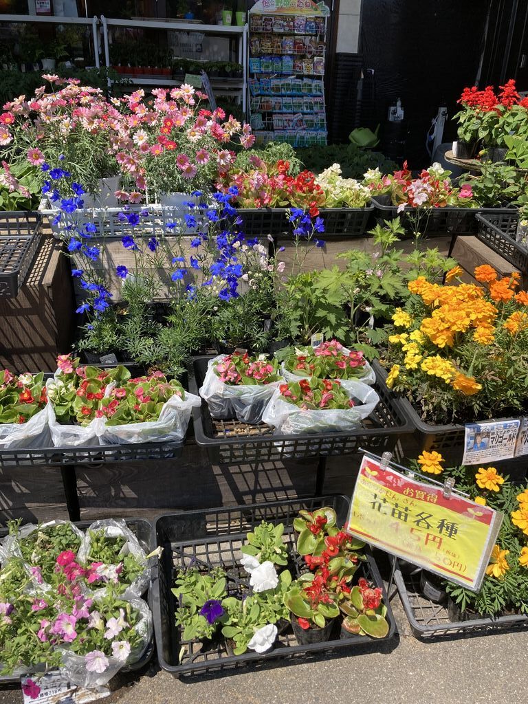 農産直売所あぜみち 上戸祭店 - 宇都宮市の野菜・直売所・フード全般｜栃ナビ！