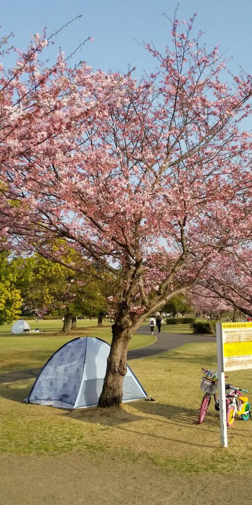 小山総合公園のクチコミ 口コミ 写真 小山市 公園