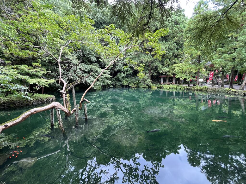 出流原弁天池 - 佐野市の湖沼｜栃ナビ！