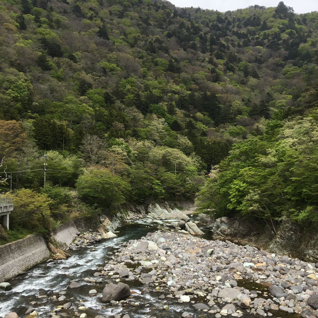 七ツ岩吊橋のクチコミ 口コミ 写真 那須塩原市 橋 吊橋