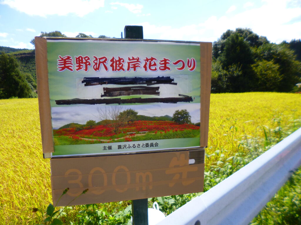 簑沢彼岸花群生地 那須町の植物園 花 栃ナビ