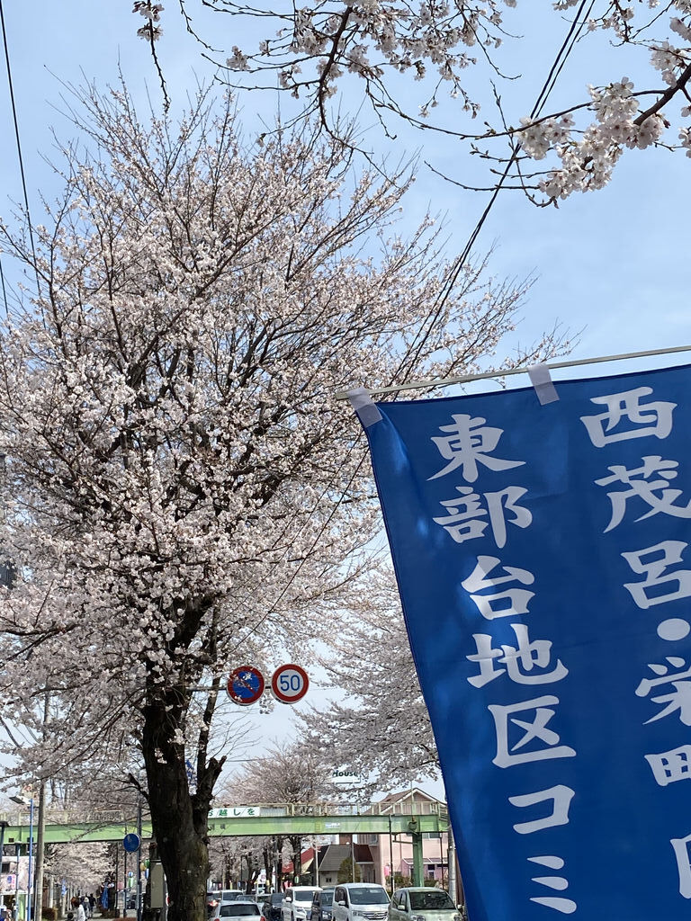 鹿沼 さつき大通りの桜並木のクチコミ 口コミ 写真 鹿沼市 植物園 花