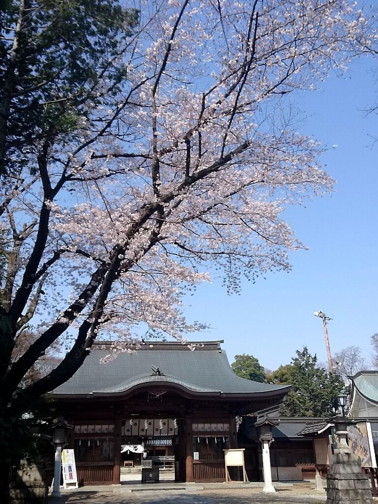 須賀神社のクチコミ（口コミ）・写真｜小山市・神社・仏閣・教会