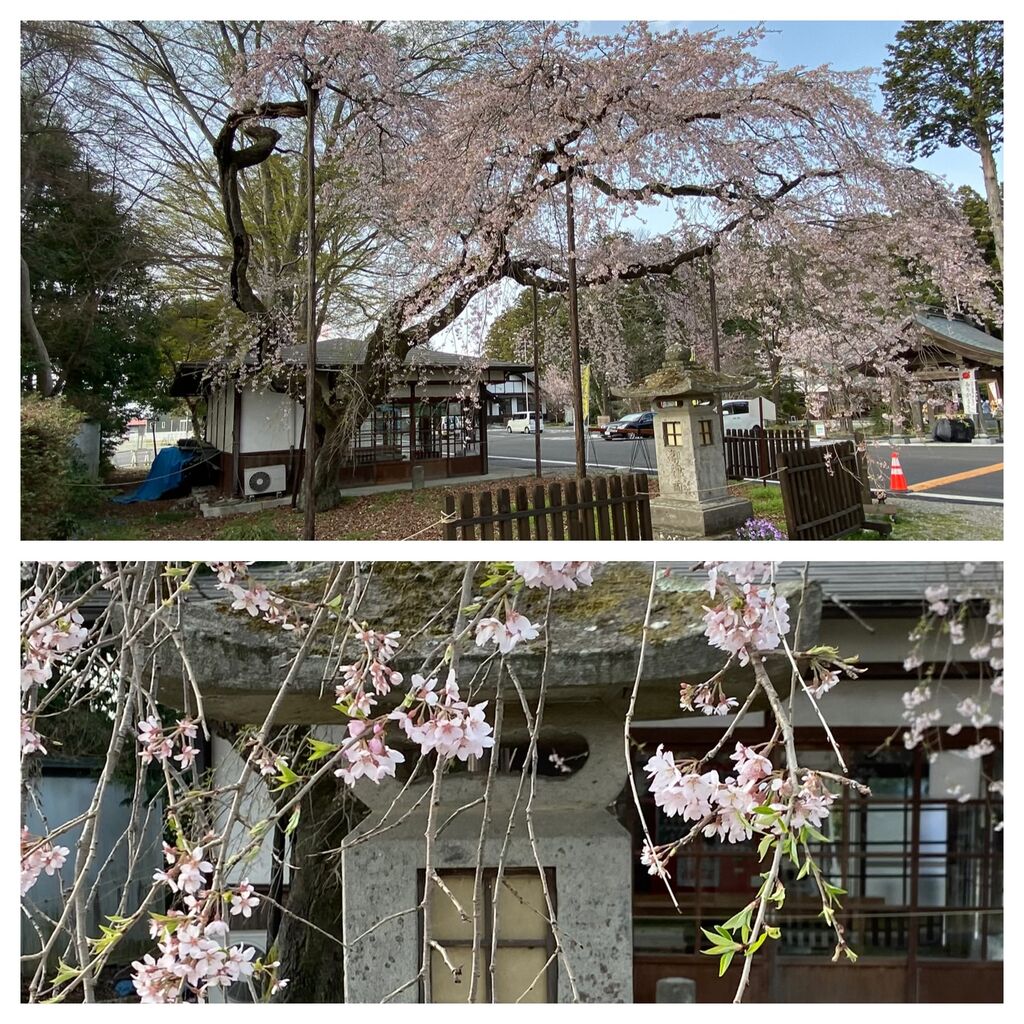 乃木神社のクチコミ 口コミ 写真 那須塩原市 神社 仏閣 教会