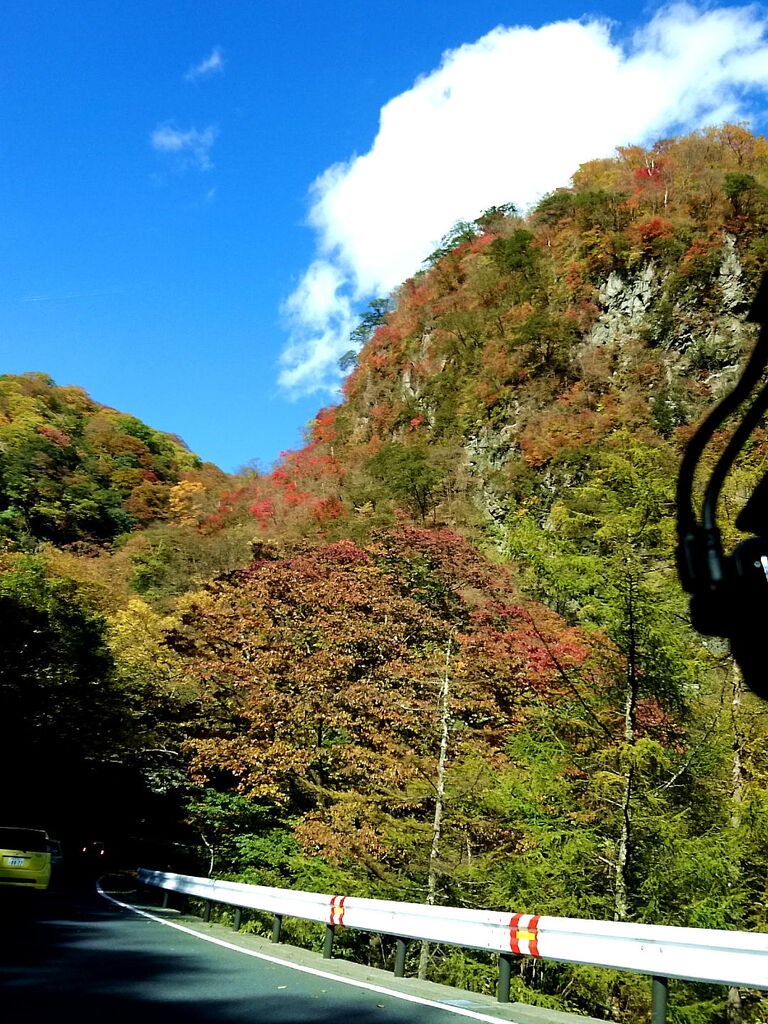 いろは坂のクチコミ 口コミ 写真 日光市 街道