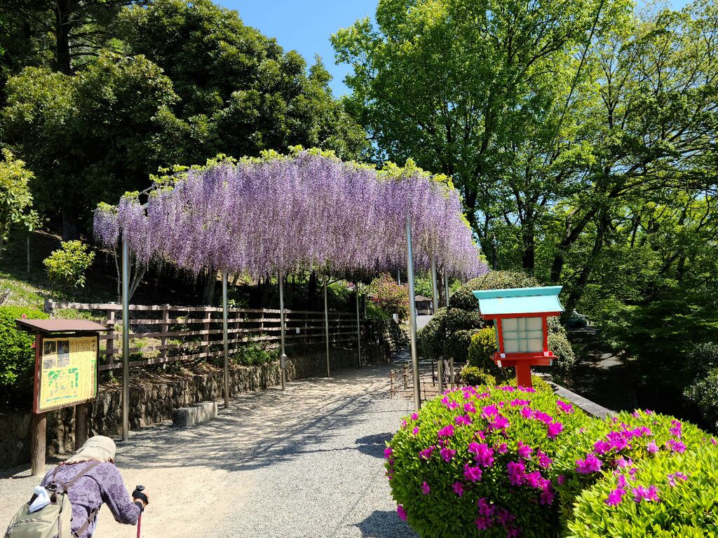 ブライダル クチコミを探す 栃ナビ