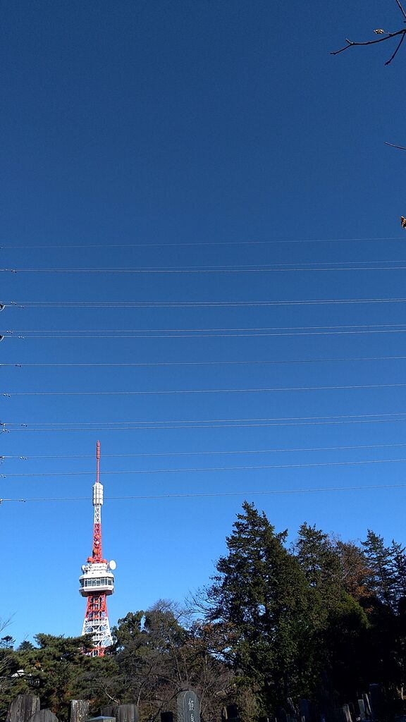 八幡山公園 宇都宮市の公園 栃ナビ