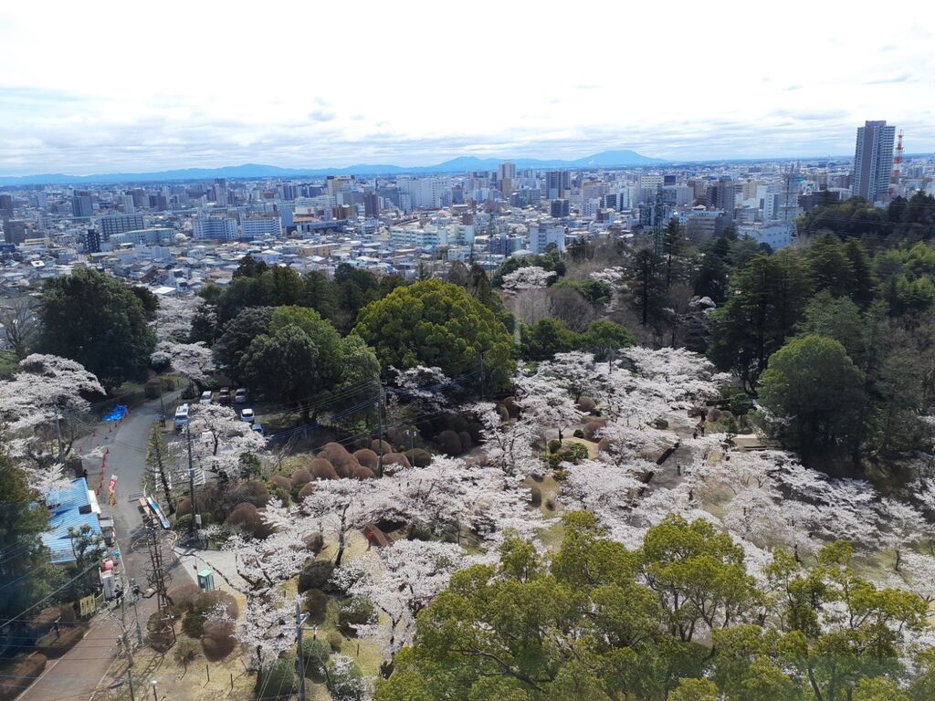 八幡山公園のクチコミ 口コミ 写真 宇都宮市 公園