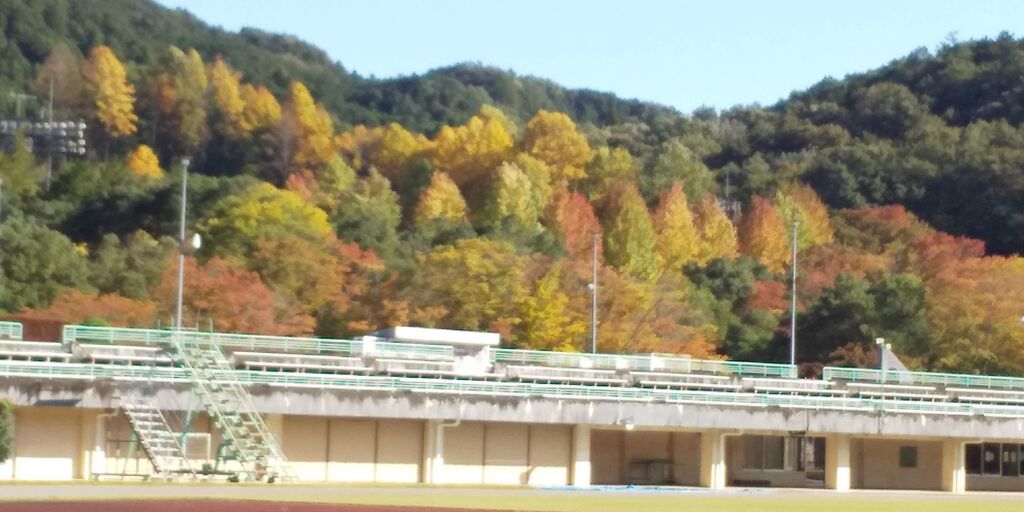 鹿沼運動公園 ヤオハン いちごパーク のクチコミ 口コミ 写真 鹿沼市 公園