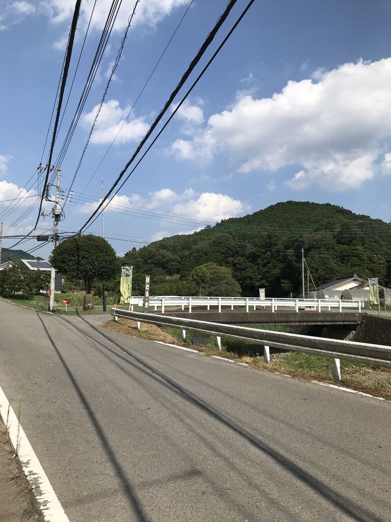 Nakagawa001さんから富山舟戸いわうちわ群生地への投稿クチコミ 栃ナビ