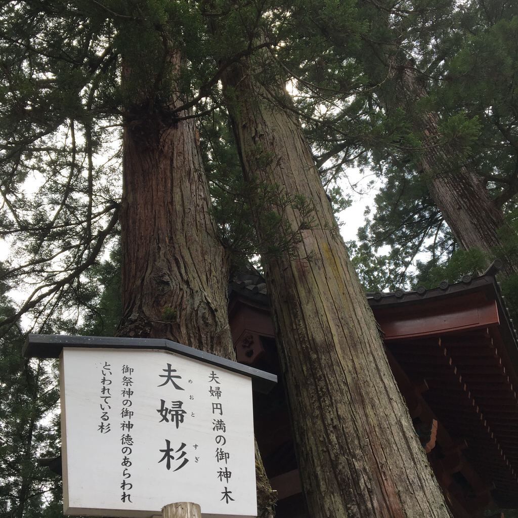 日光二荒山神社のクチコミ（口コミ）・写真｜日光市・神社・仏閣