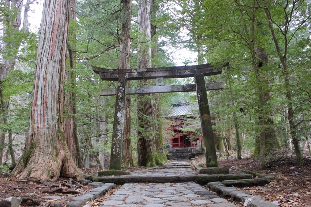 滝尾神社のクチコミ 口コミ 写真 日光市 神社 仏閣 教会