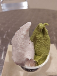初めての訪問は...