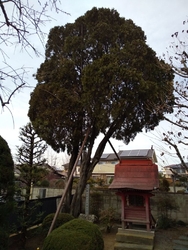 佐野市犬伏下町...